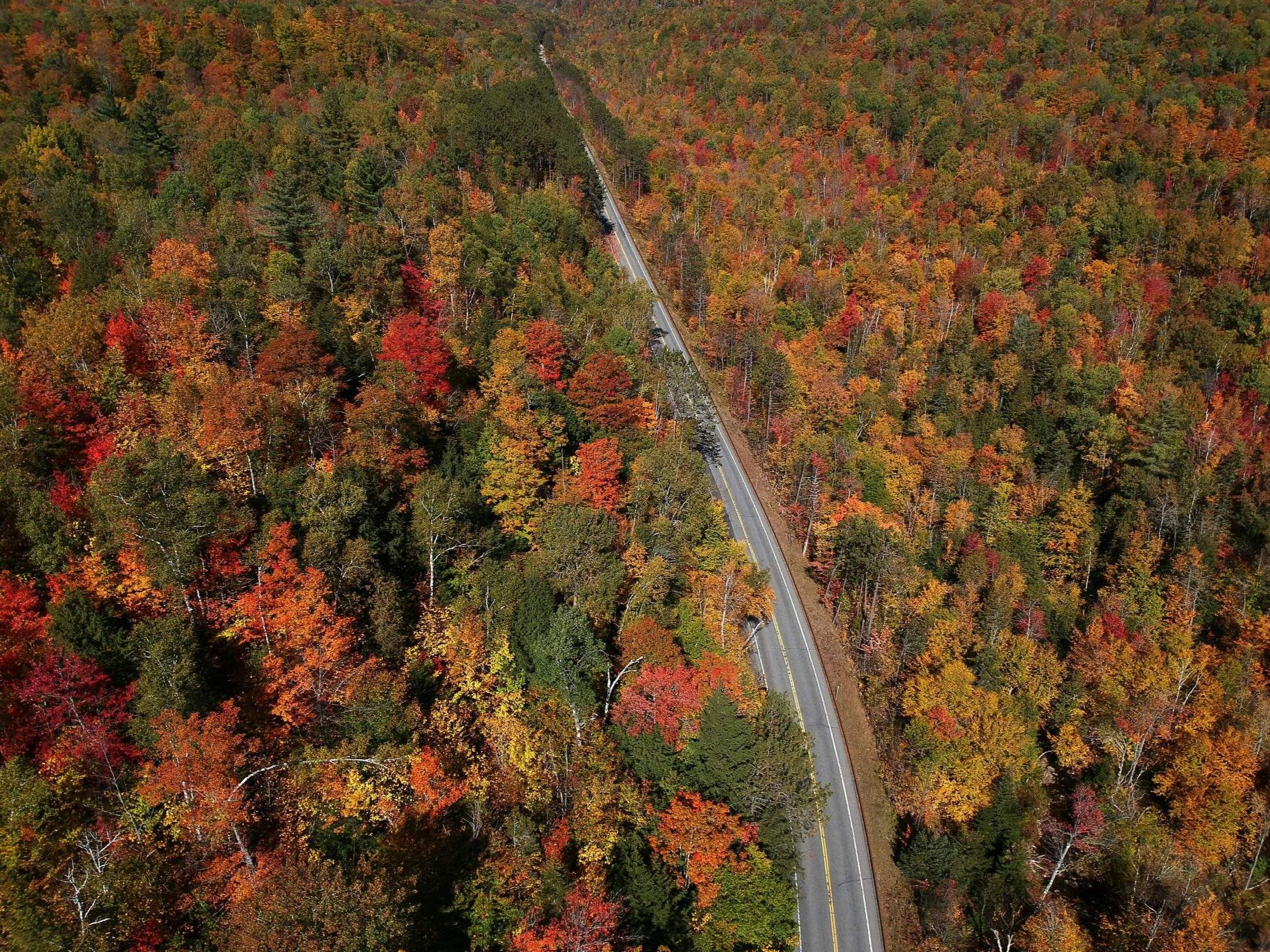 Aerial Photography Aerial drone photography over fall foliage - Vickshots Photography Kansas City